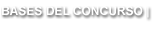 Bases del concurso