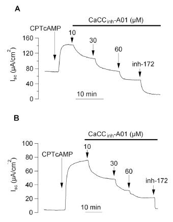 AG et al 2016 Fig